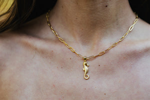 Seahorse Link Necklace